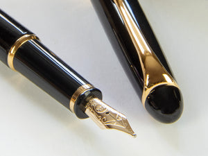 Aurora 88 Small Fountain Pen, Resin, Gold plated, 810