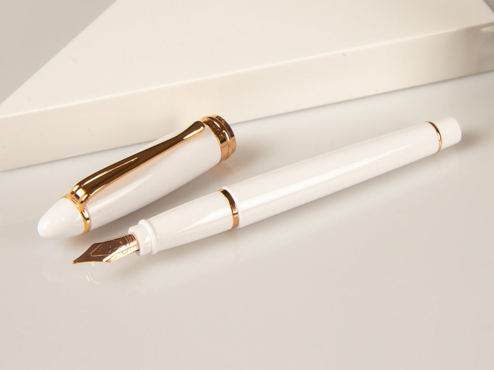Aurora Ipsilon Winter Fountain Pen, Resin, White, Rose Gold, B11-PW