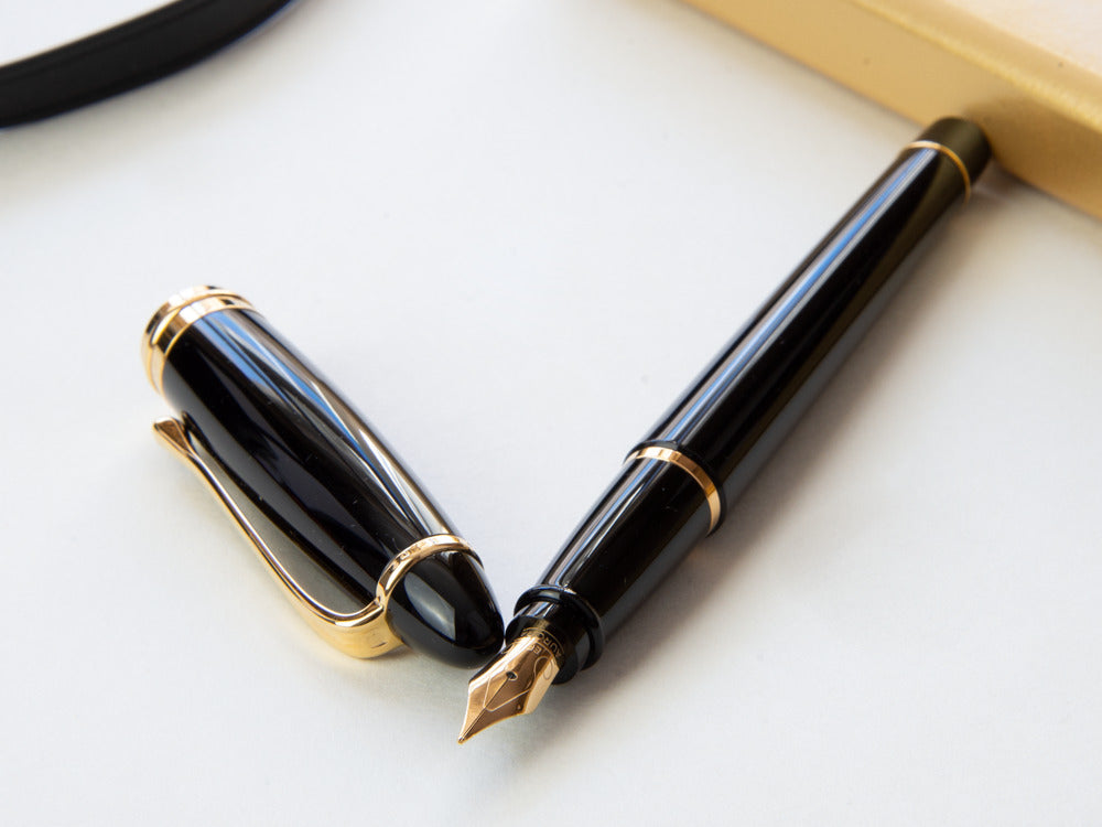 Aurora Ipsilon Fountain Pen - Black Resin Body - B11N