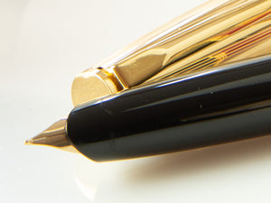 Aurora Duo-Cart Fountain Pen, Resin, Gold Trim, DC57-DXM