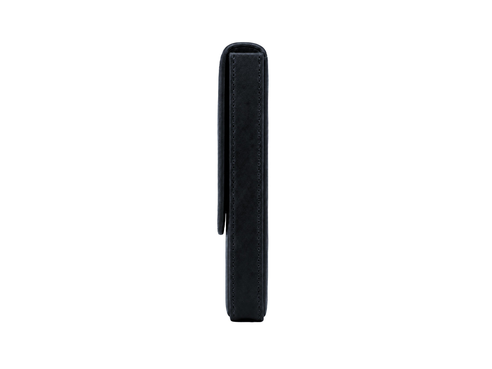 Iguana Pen Case Black for 3 writing items, PEN-CASE-BLACK-3