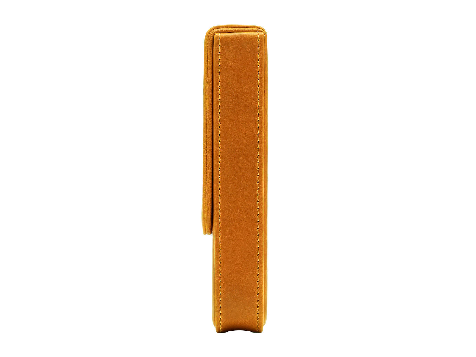 Iguana Pen Case Camel for 3 writing items, PEN-CASE-CAMEL-3