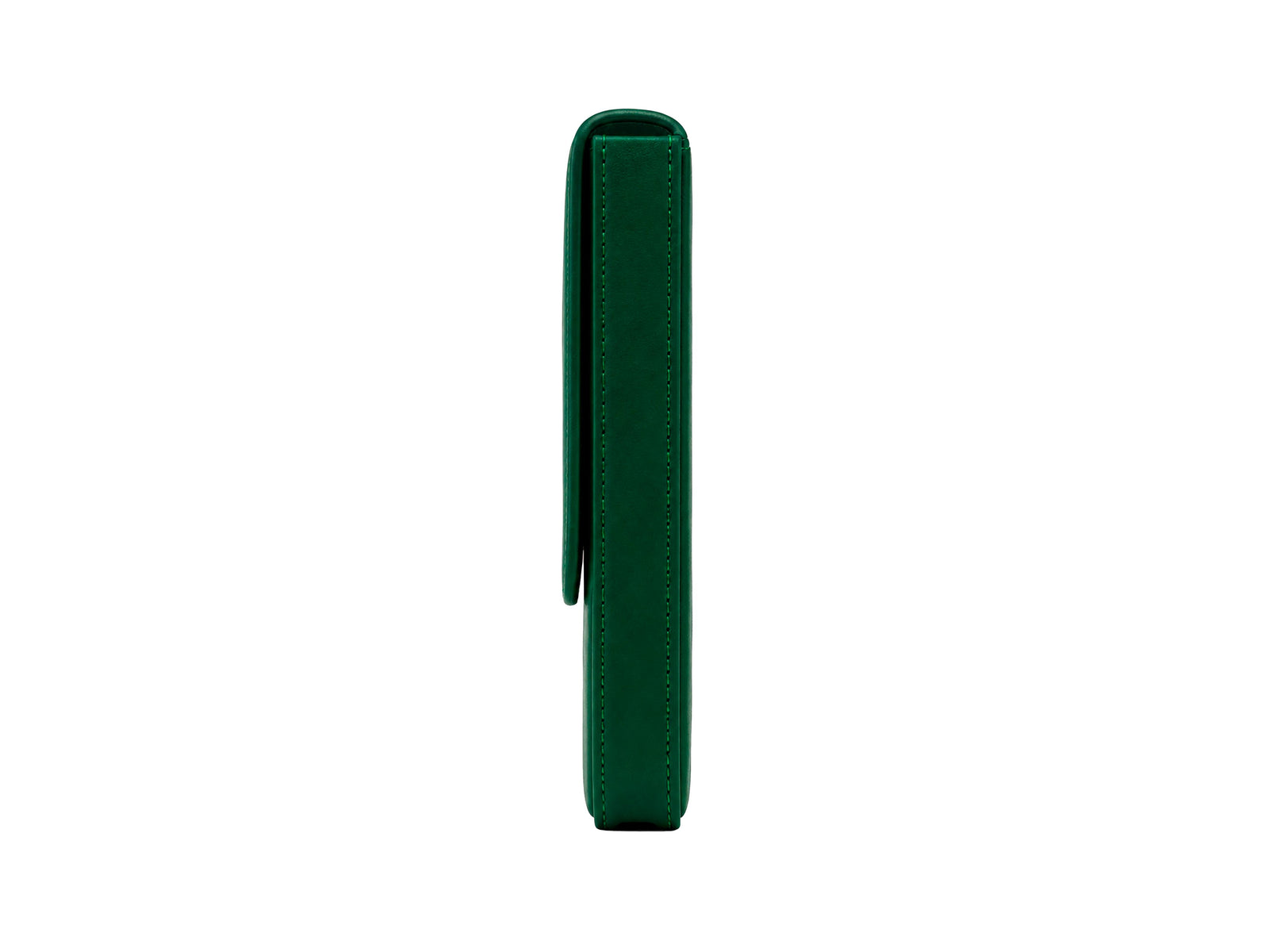 Iguana Pen Case Green for 3 writing items, PEN-CASE-GREEN-3