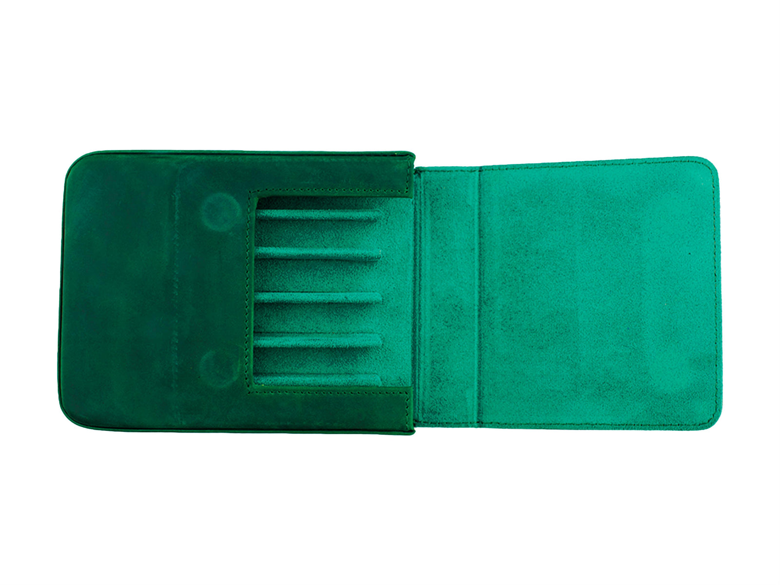 Iguana Pen Case Green 6, PEN-CASE-GREEN-6