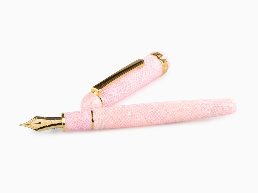 Platinum Celluloid Fountain Pen Sakura, Gold trim, PTB-30000S-40