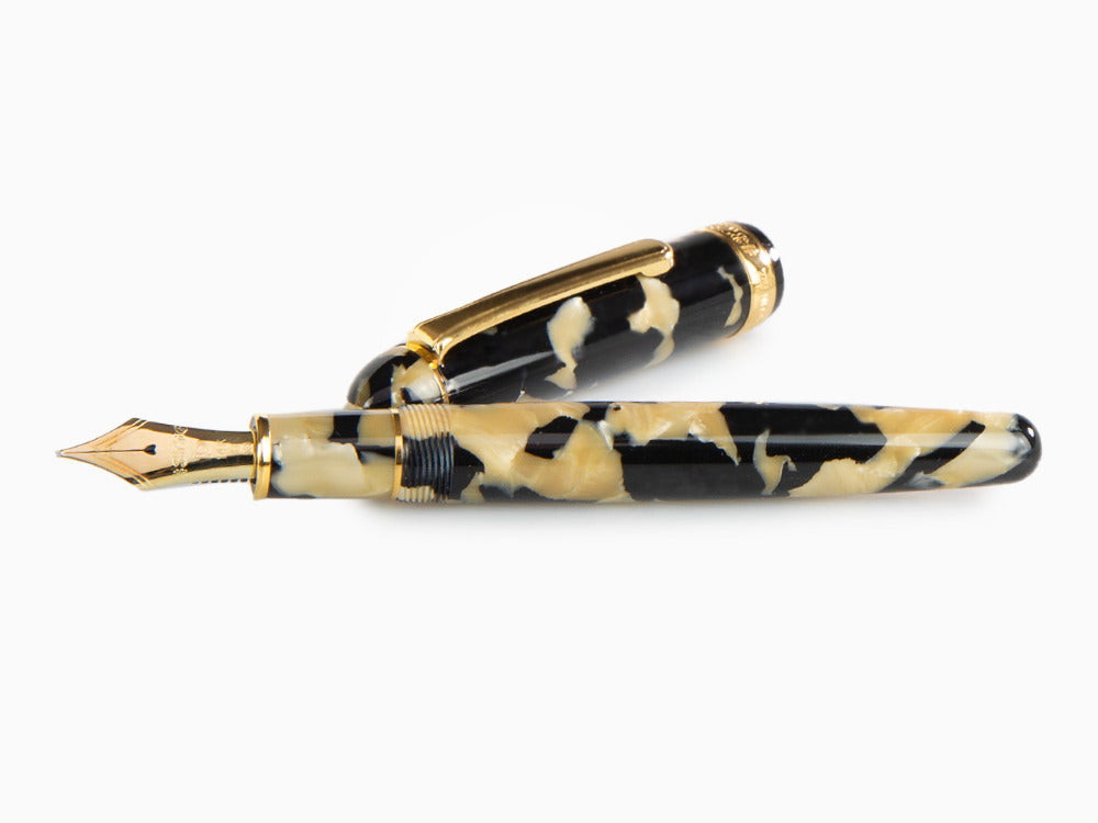 Platinum Celluloid Fountain Pen Calicó Gold Trims - PTB-30000S-67