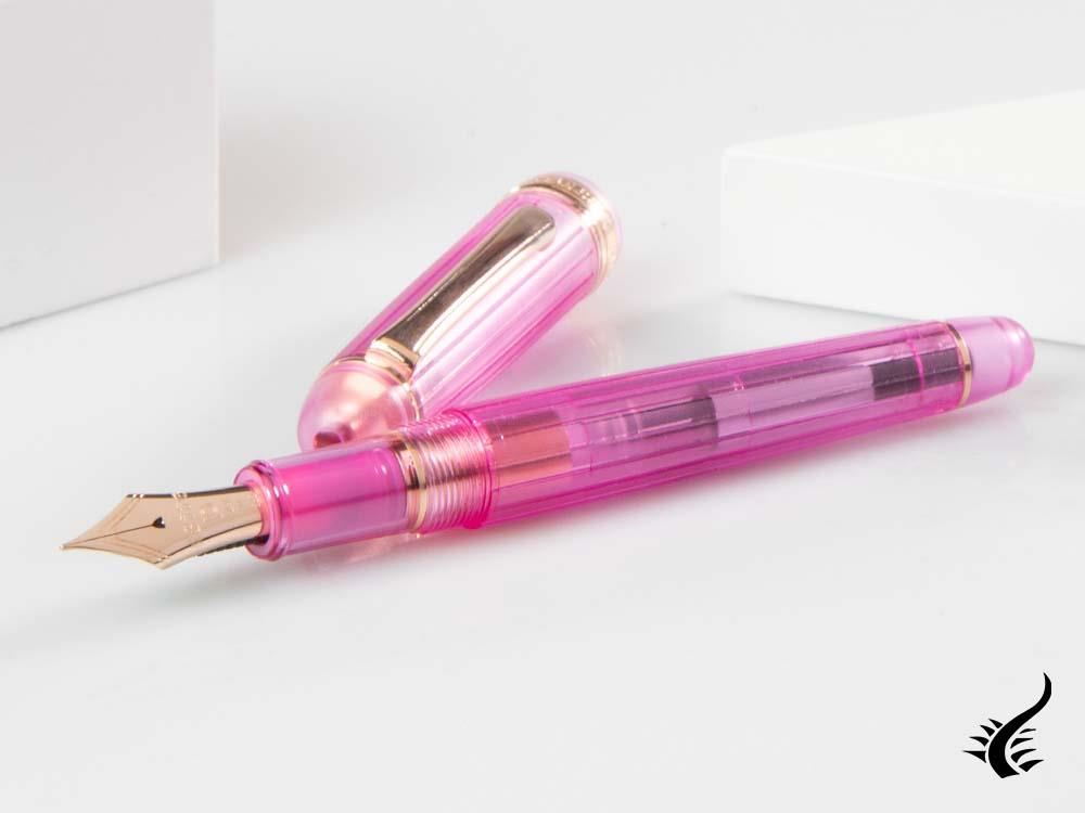 Platinum Century Lilas Fountain Pen, Resin, Rose gold, PNB-20000R-22