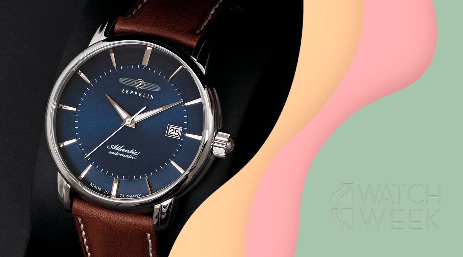 Recap Iguana Watch Week 2025