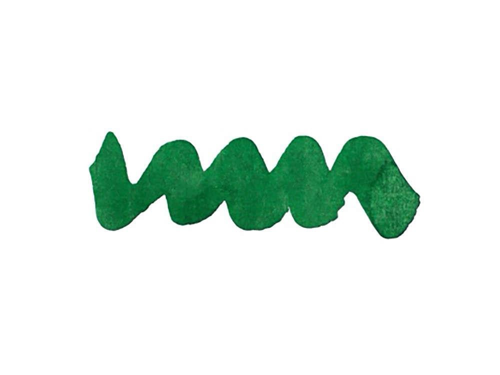 Diamine Forever Ink Collection -Permanent Pigmen Ink Amazonia, Green, 50ml