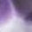 Sugar Plum Purple