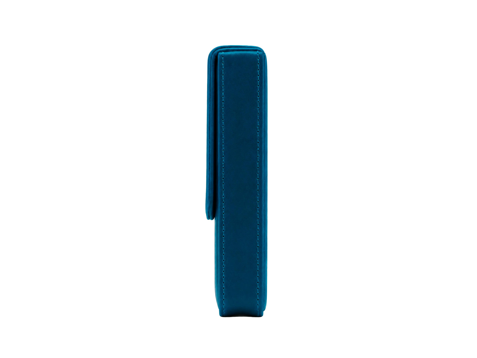 Iguana Pen Case Blue for 3 writing items, PEN-CASE-BLUE-3
