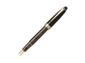 Pilot Custom NS Adventure Brown Fountain Pen, Gold plated, FKNS-1-BN