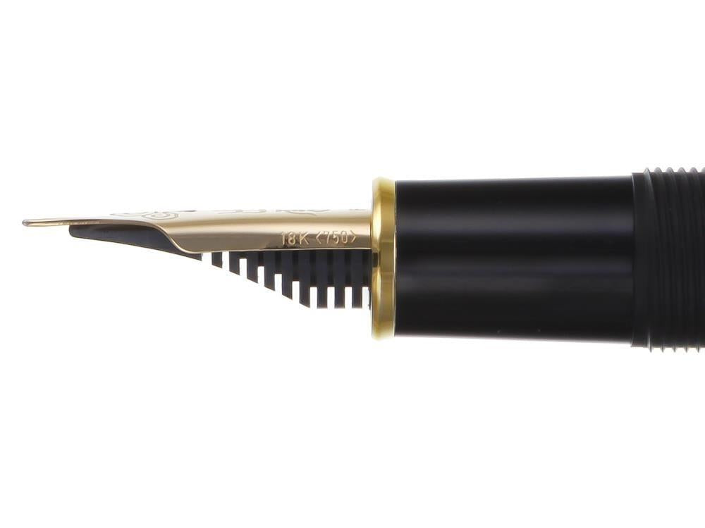 Platinum Izumo Bamboo Torafu Fountain Pen, Brown, PBA-120000Y-10