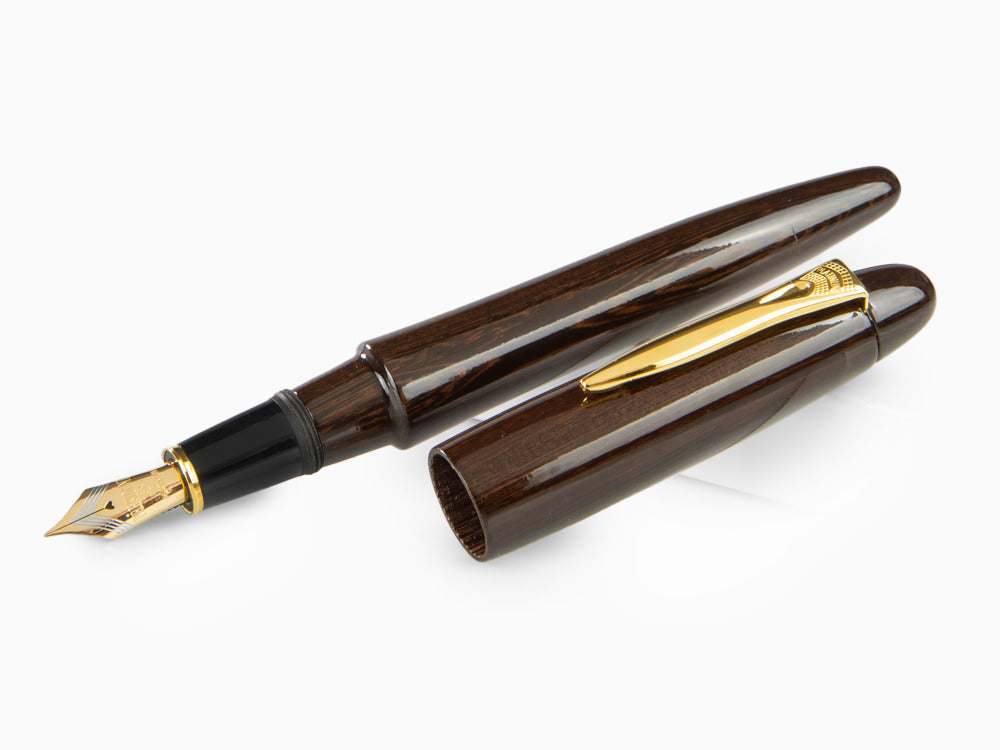 Platinum Izumo Fountain Pen, Brown, Tagayasan wood, PIZ-50000T-21