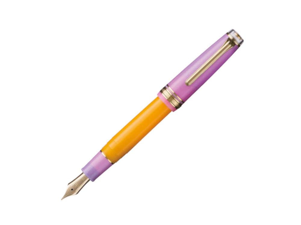 Sailor PG Smoothie 2nd Edition Acai Berry Fountain Pen, 11-4173-473