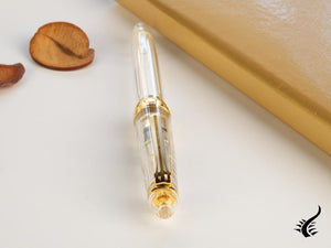 Sailor 1911 Standard Series Fountain Pen, Resin, Demonstrator, Gold trim