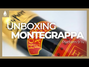 Montegrappa Harry Potter: Platform 9¾ Fountain Pen, Steel, ISHPR-PF
