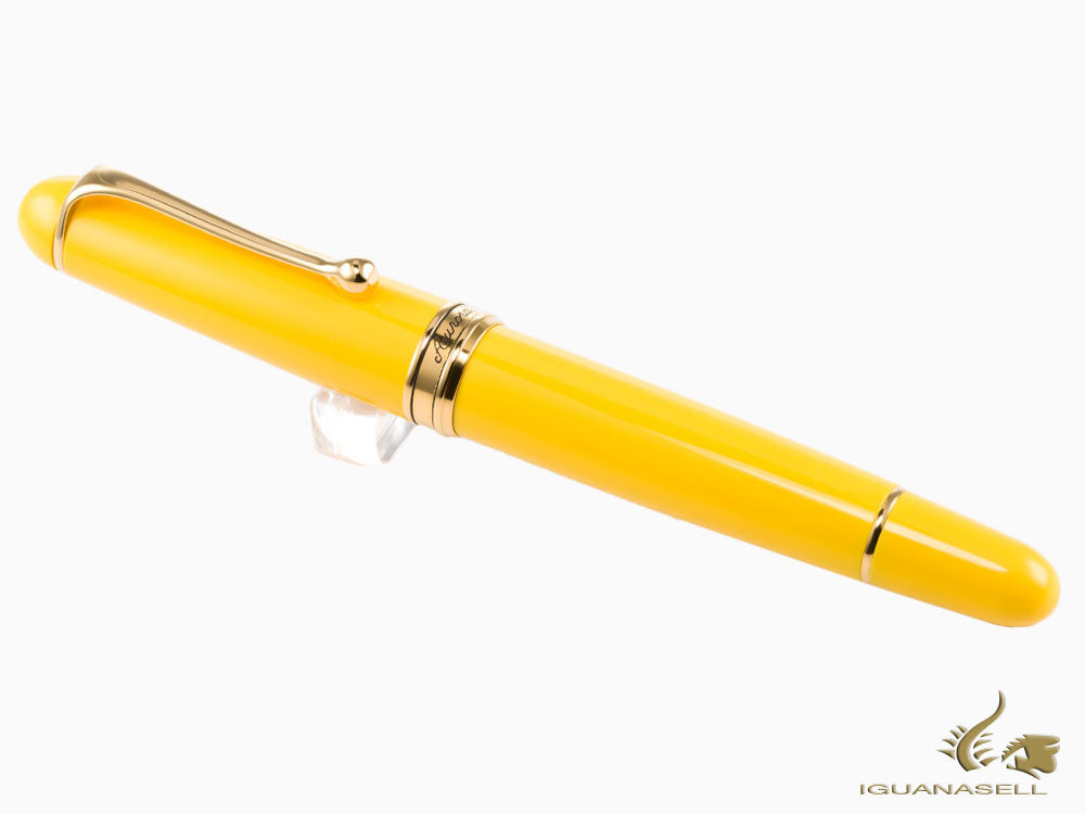 Aurora 88 Anniversary Fountain Pen, Resin, Gold Trim, Lim. Ed., 800-GIFF