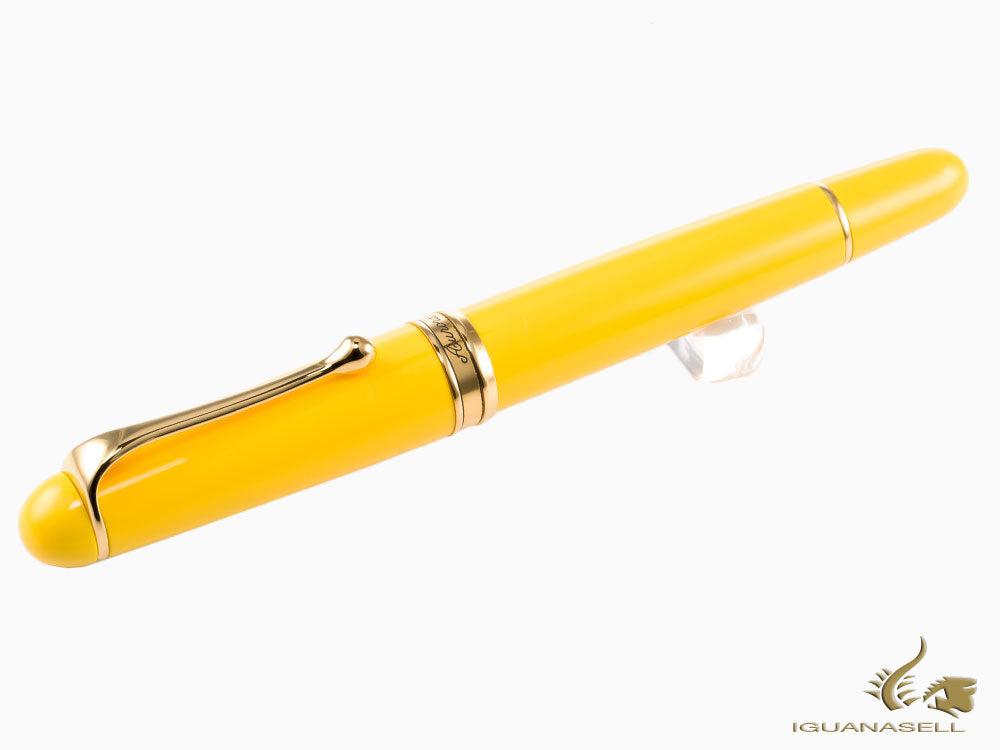 Aurora 88 Anniversary Fountain Pen, Resin, Gold Trim, Lim. Ed., 800-GIFF