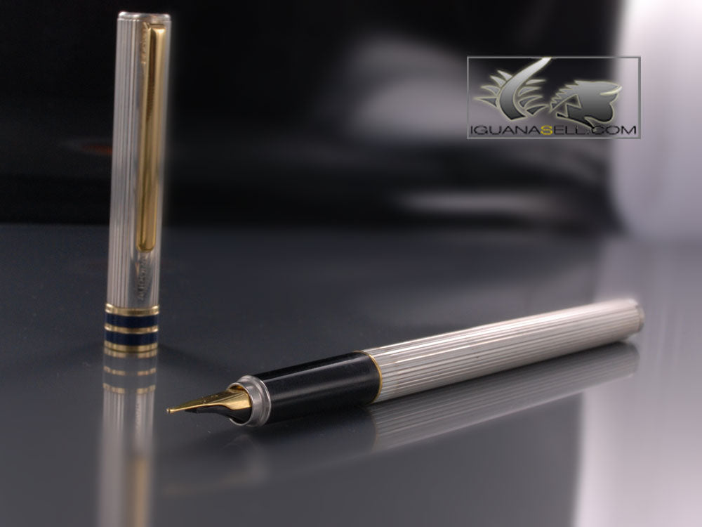 Aurora Fountain Pen Marco Polo - Silver & Gold trims
