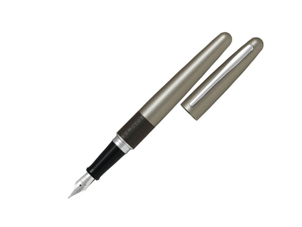 Pilot MR Pens Collection Urban Animal Lizard Fountain Pen, Grey