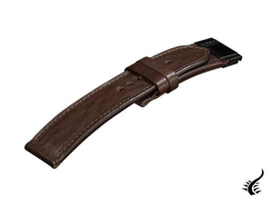 U-Boat Accesorios Strap, Leather, Leather, Brown, 23/22 mm., 7546/Z
